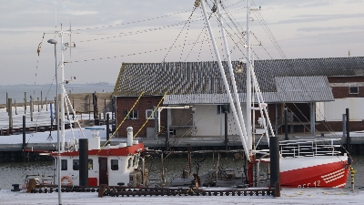 Am Hafen Fischkutter am Hafen