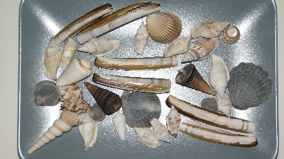 Kleinigkeiten Findlinge vom Strand